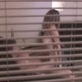 Voyeur - freefoto galerie
foto+video