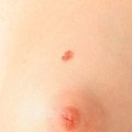 Vyholen� - freefoto galerie
freefoto