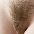 Chlupat� - freefoto galerie
freefoto